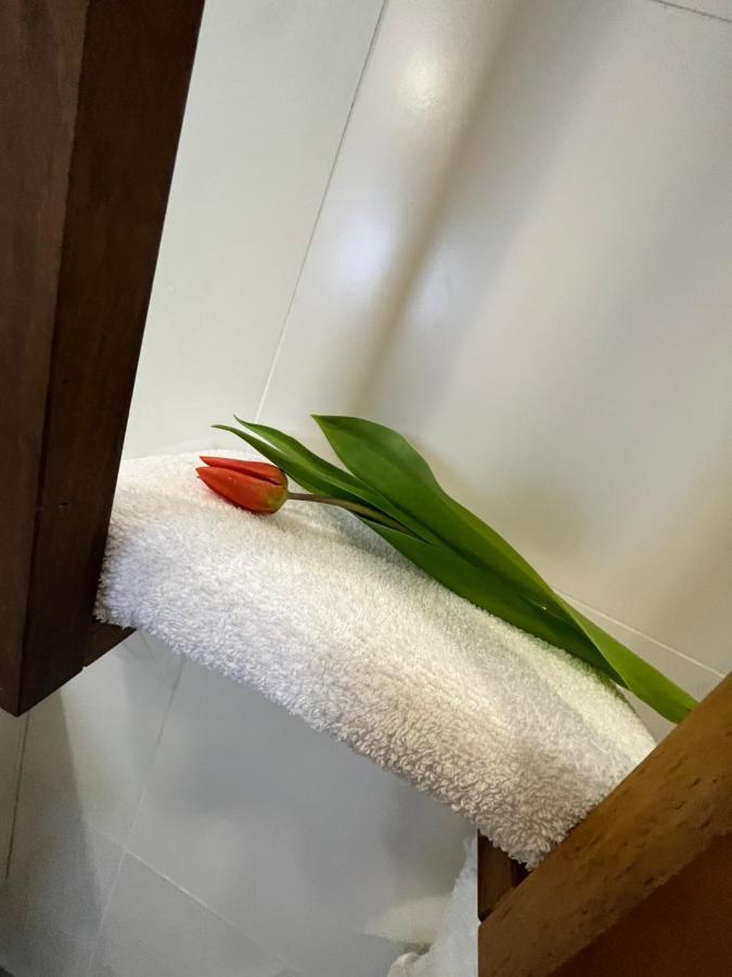 Apartma Ksela Mala Nedelja Exterior foto
